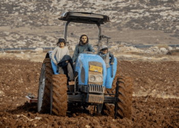 Молодешь холмов на тракторе