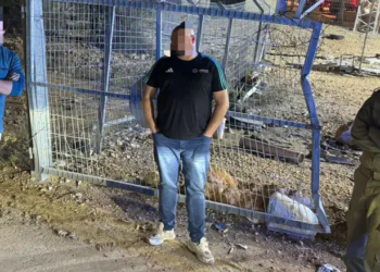 Не ходите, дети, в Калькилию гулять