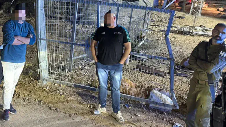 Не ходите, дети, в Калькилию гулять