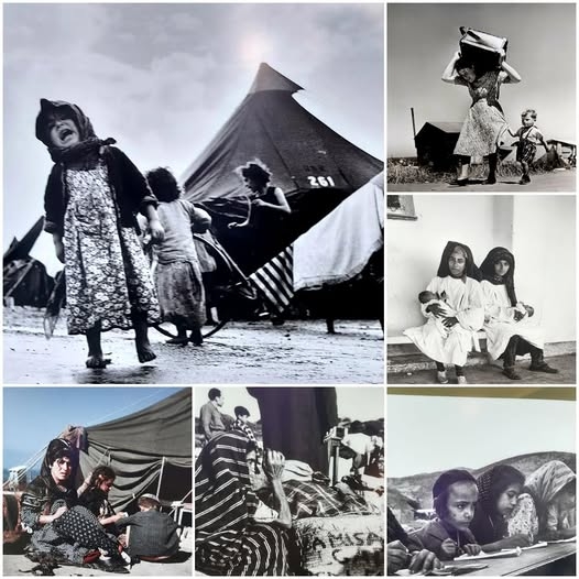 Еврейские беженцы? Нет, не знаем